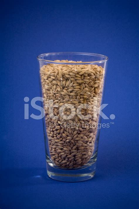 american two row malt